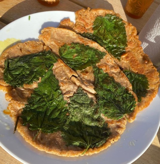 Brennessel | &copy; Angelika H&ouml;lz