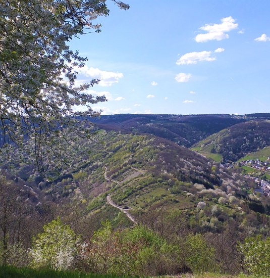 Blick vom Kr&auml;uterberg2