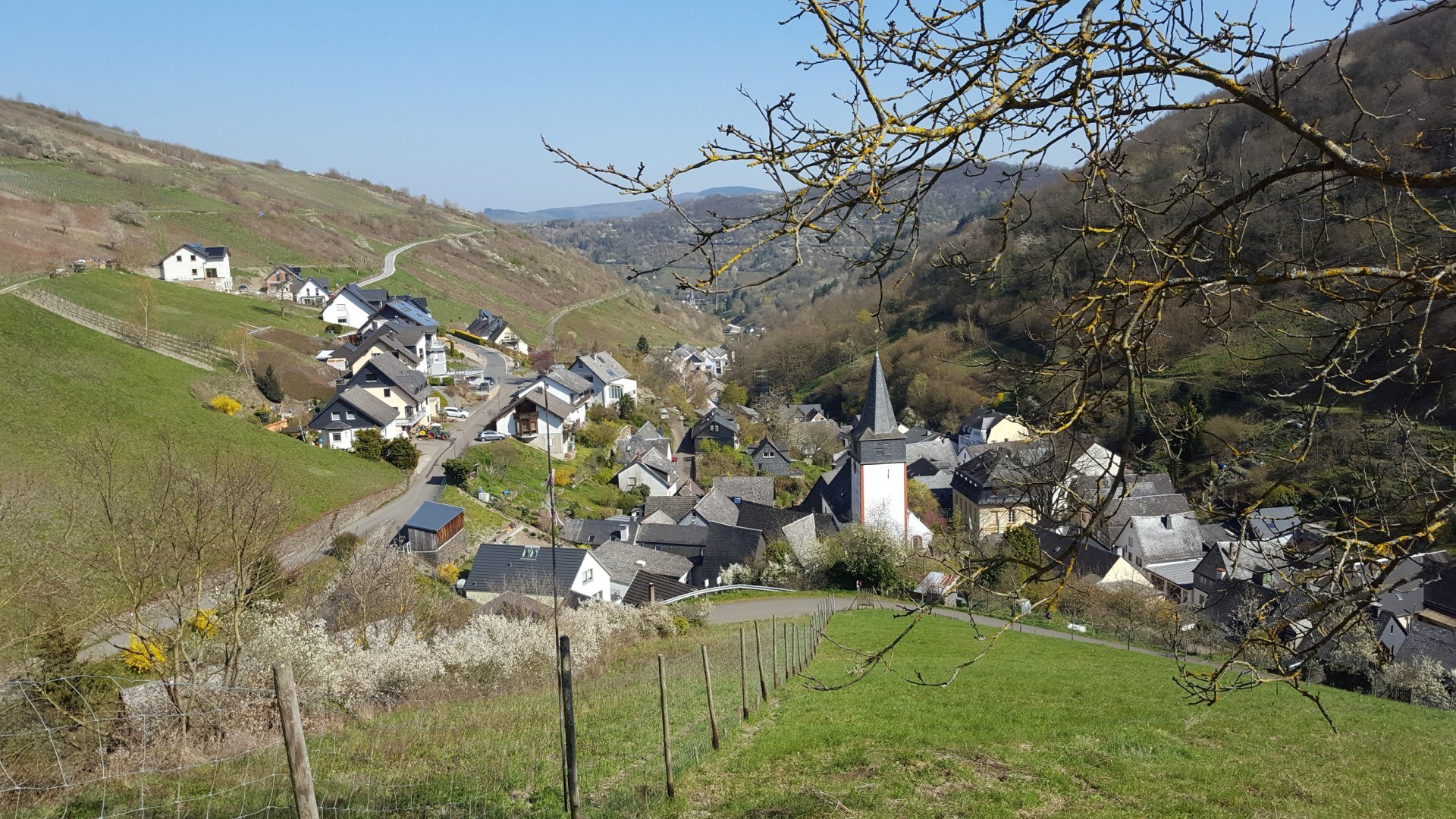 Blick zum Kräuterberg | © Bärbel Laudert