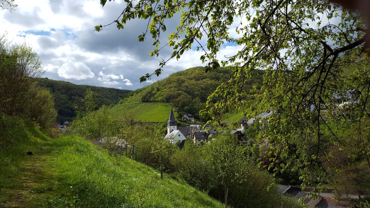 Blick von Osten | © Bärbel Laudert