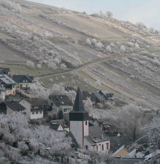 Winter1 | &copy; Thomas Grassmann