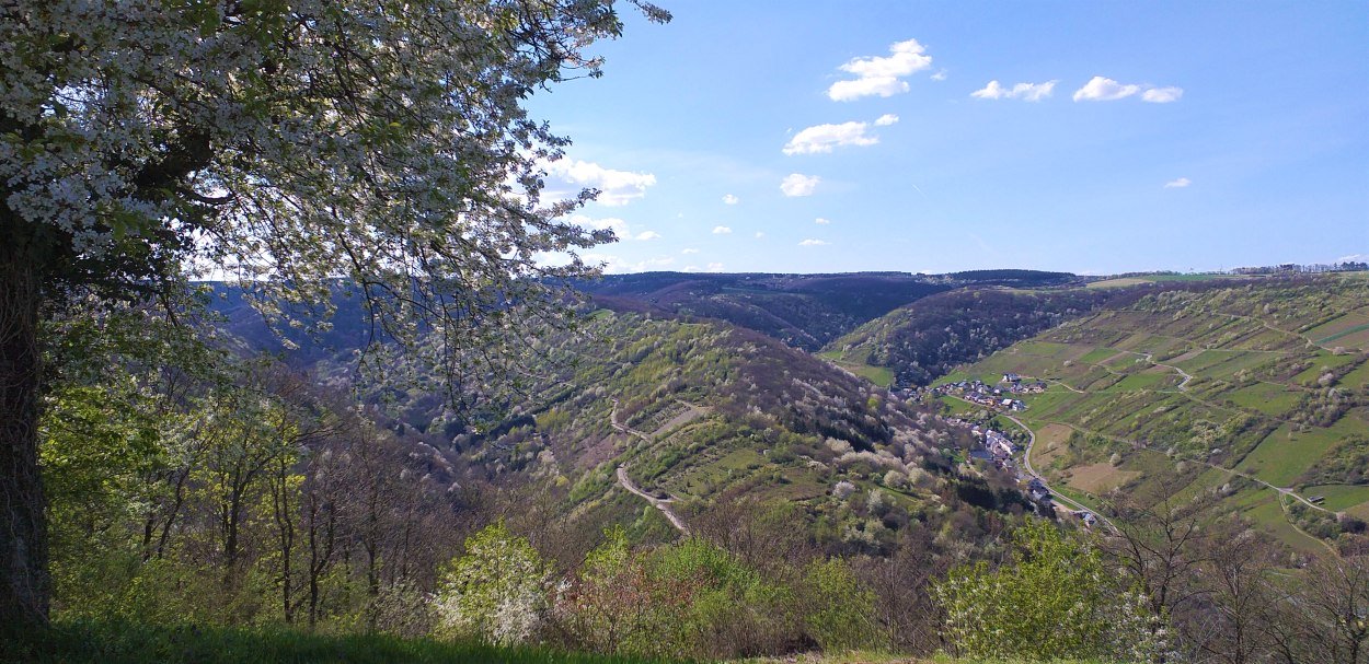 Blick vom Kräuterberg2