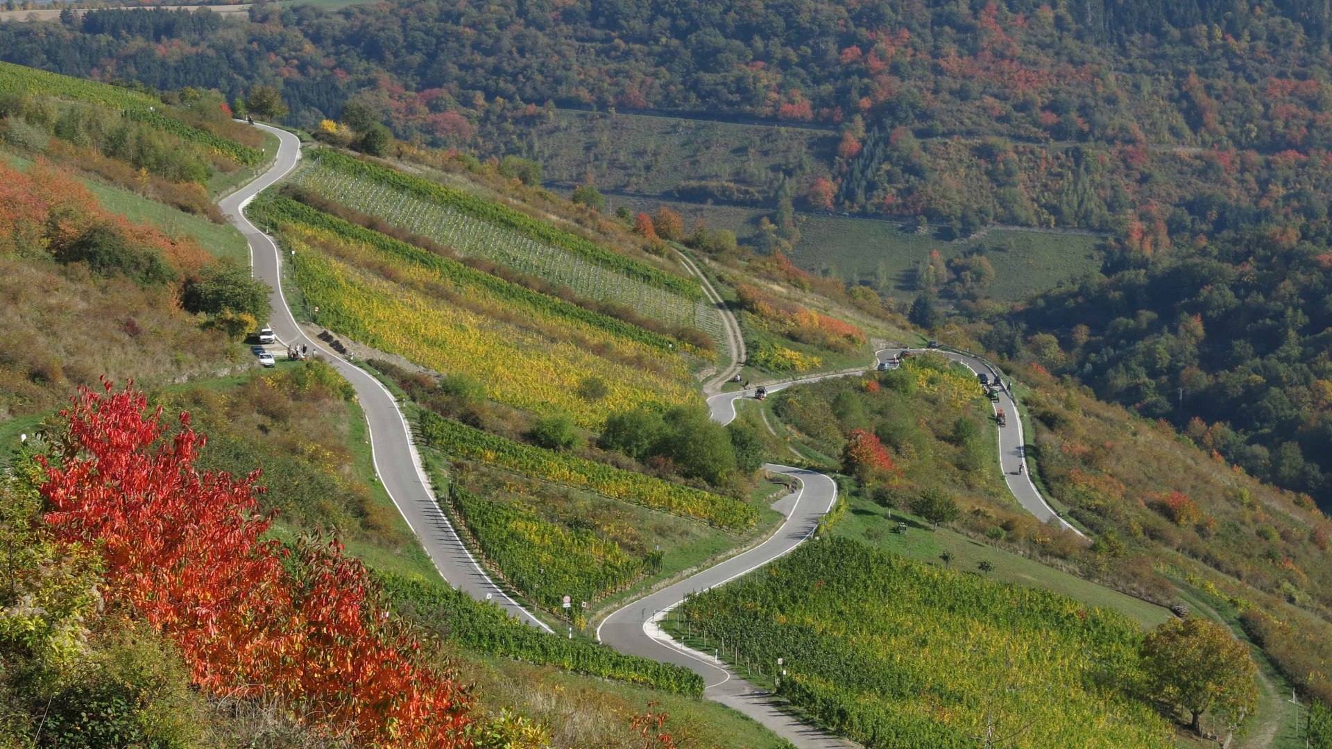Weg nach Winzberg | &copy; Thomas Grassmann