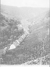 1 1