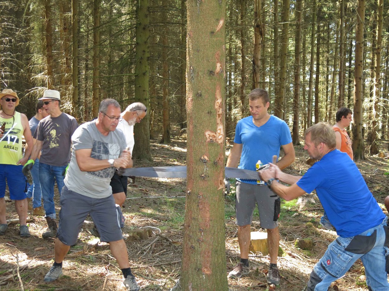 Kerb11 | © Thomas Grassmann Kerb11 | © Thomas Grassmann