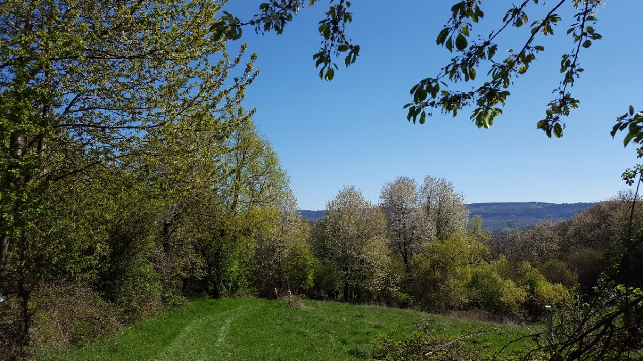 Wanderweg Wiesen