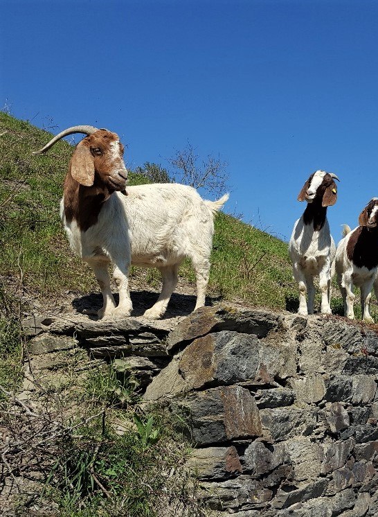 1 | &copy; B&auml;rbel Laudert