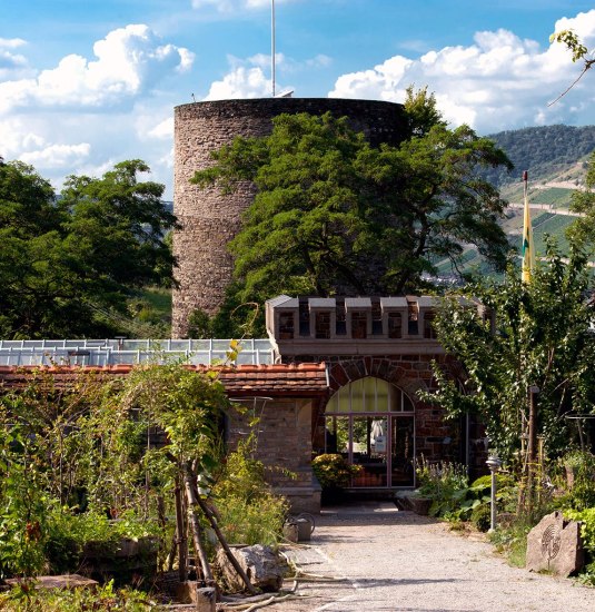 Burgg&auml;rtnerei | &copy; Christian Lenz