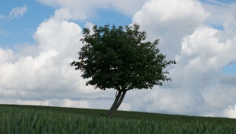 Impression3 | &copy; Thomas Grassmann