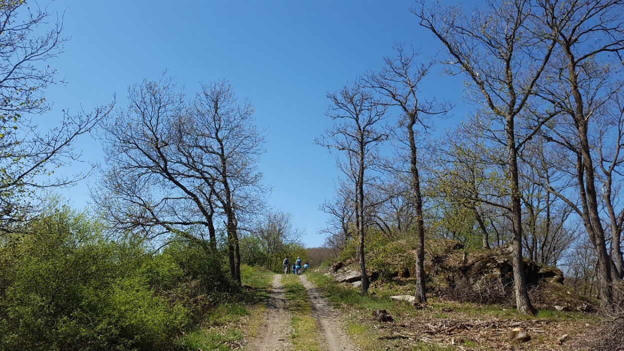 Wanderweg 2 | © Bärbel Laudert