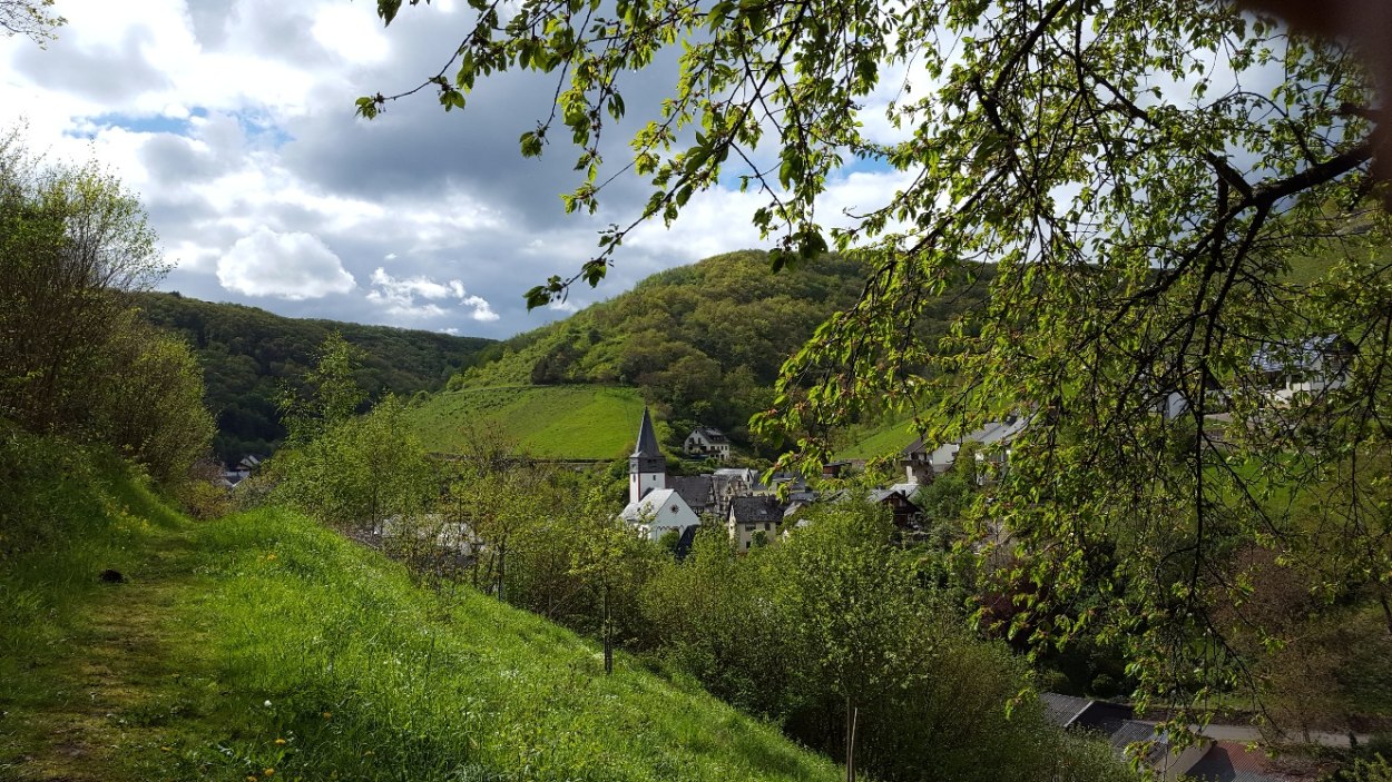 Blick von Osten | © Bärbel Laudert Blick von Osten | © Bärbel Laudert