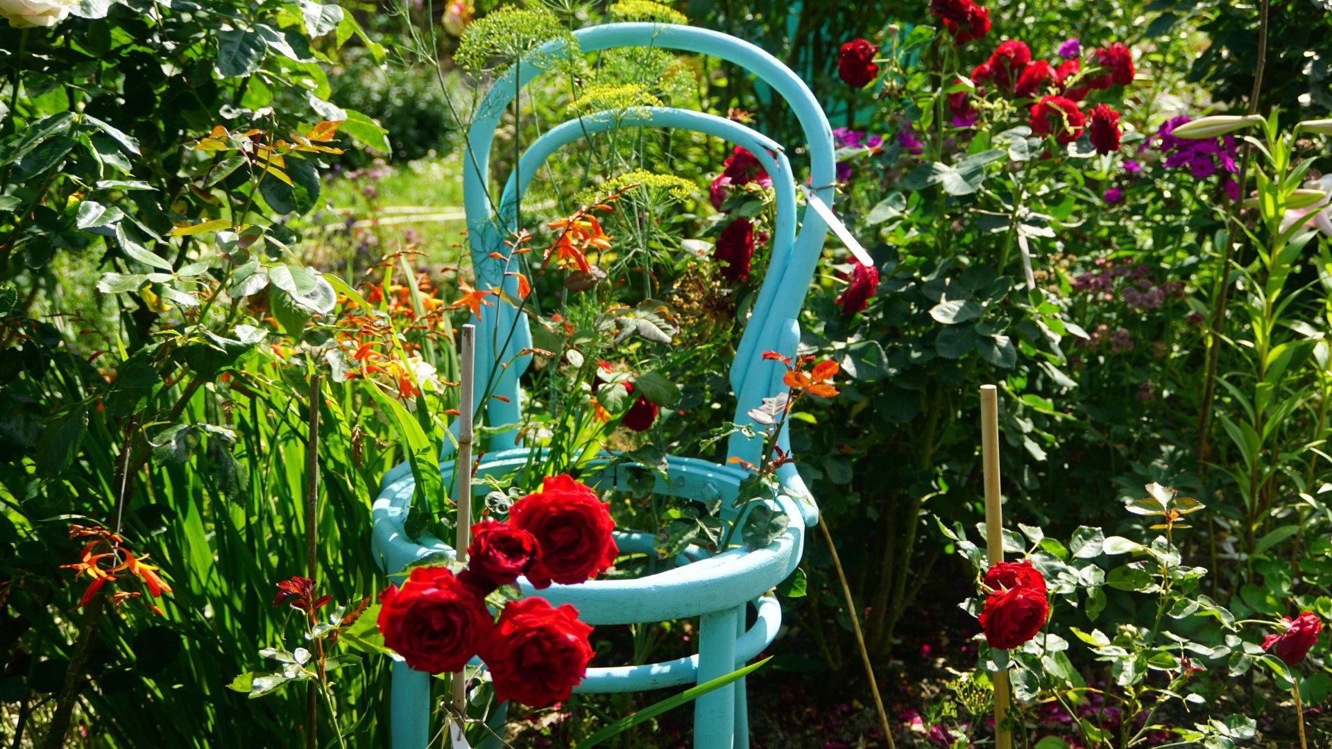 Garten Medenscheid | © B.Lieber